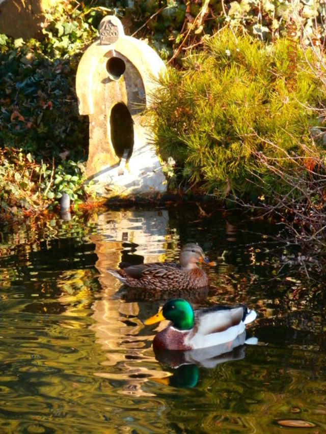 Skulpturen – Foto 47